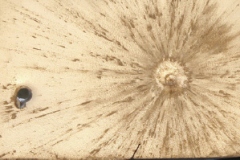 Ballistic-test-impacts