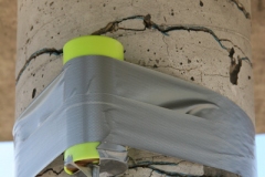 Cast-booster-and-detcord