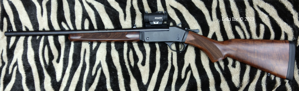 Henry .450 Bushmaster Rifle with Aimpoint Micro H-2