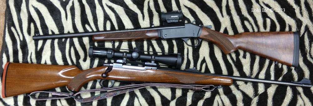 Henry and Ruger Rifles